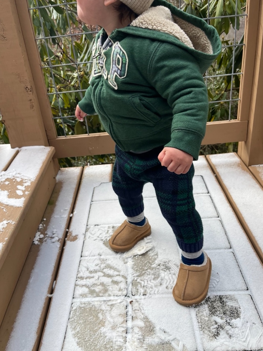 Baby Gap Sherpa Lined Hoodie 12-18M